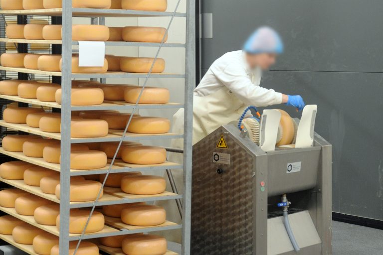 Stellenangebot: Arbeitsvorbereiter für die Käsepflege